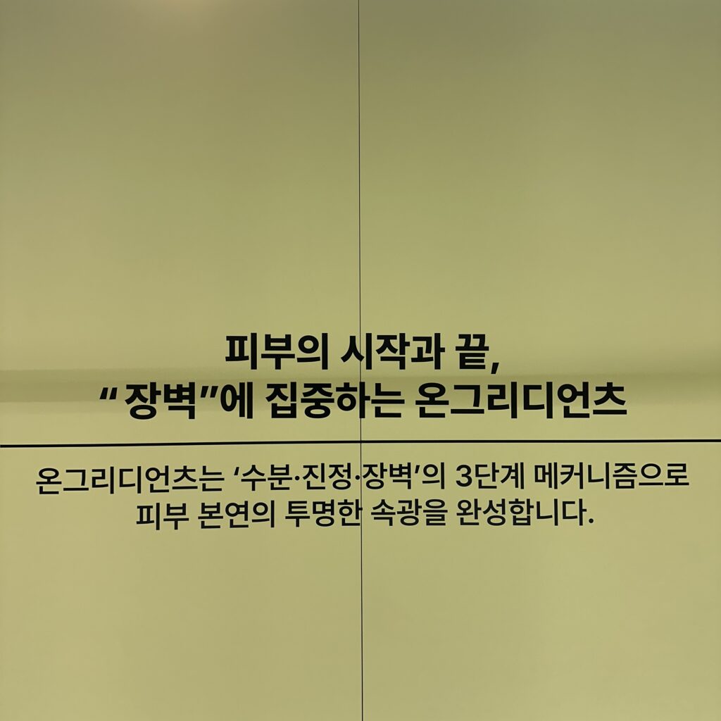 성수 팝업 온그리디언츠