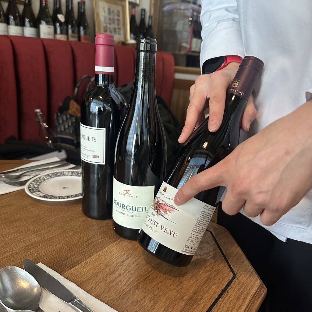 서초 메종조 와인 추천